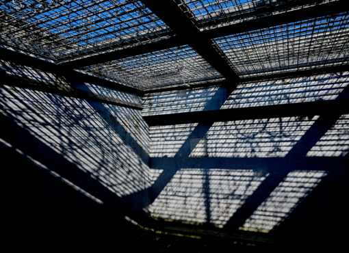 Préparation à la sortie de prison : « Nous vivons un basculement inédit » (Grand entretien)